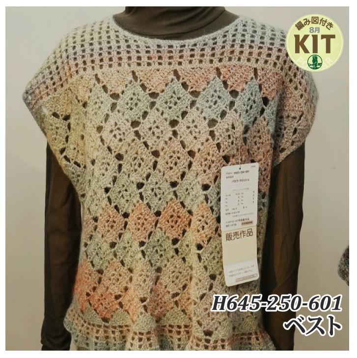 【秋冬】H645-250-601 ベスト【中級者】【編み物キット】｜H645-250-601【リッチモア】※価格は1着分の値段です。【編み図付】