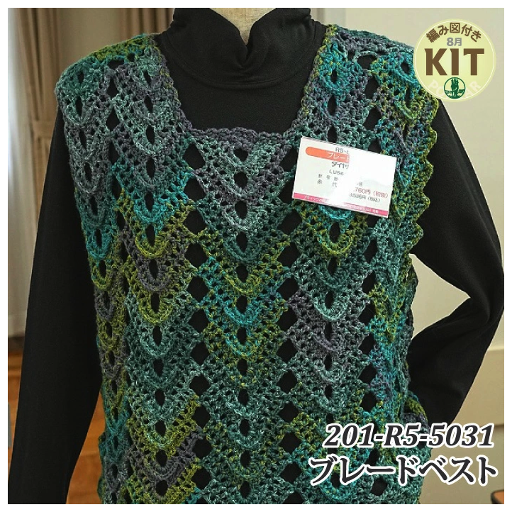 【秋冬】ブレードベスト【中級者】【編み物キット】｜R5-5031【ダイヤモンド】※価格は1着分の値段です。【編み図付】