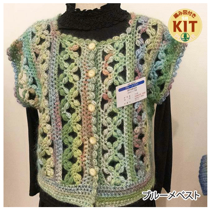 【秋冬】プル―メベスト【中級者】【編み物キット】｜R5-6091【ダイヤモンド】※価格は1着分の値段です。【編み図付】