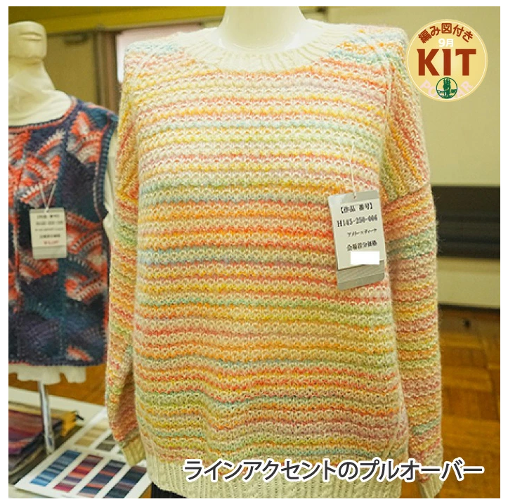 【秋冬】ラインアクセントのプルオーバー【中級者】【編み物キット】｜H145-250-006【ハマナカ】※価格は1着分の値段です。【編み図付】